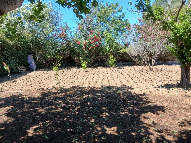 Alle Gartenarbeiten
