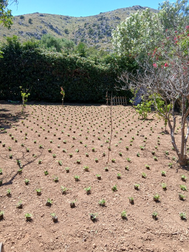 Alle Gartenarbeiten