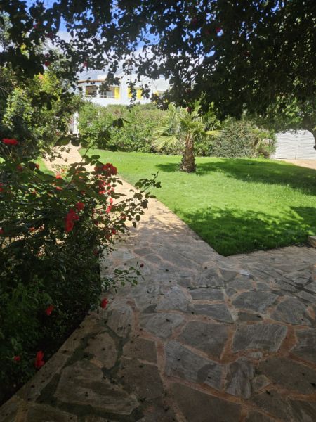 Jardinero todoterreno ofrece ayuda en el jardín