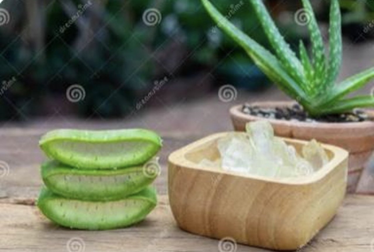 Aloe Vera -Ganzkörpermassage !