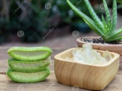 Aloe Vera -Ganzkörpermassage !
