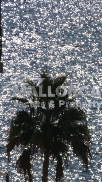 Apartment zur Miete in Cal Vinyes (25. Dez. bis 26. Juni)