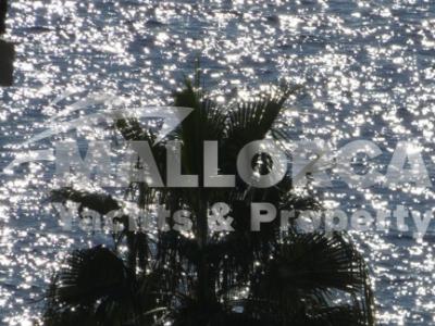 Apartment zur Miete in Cal Vinyes (25. Dez. bis 26. Juni)