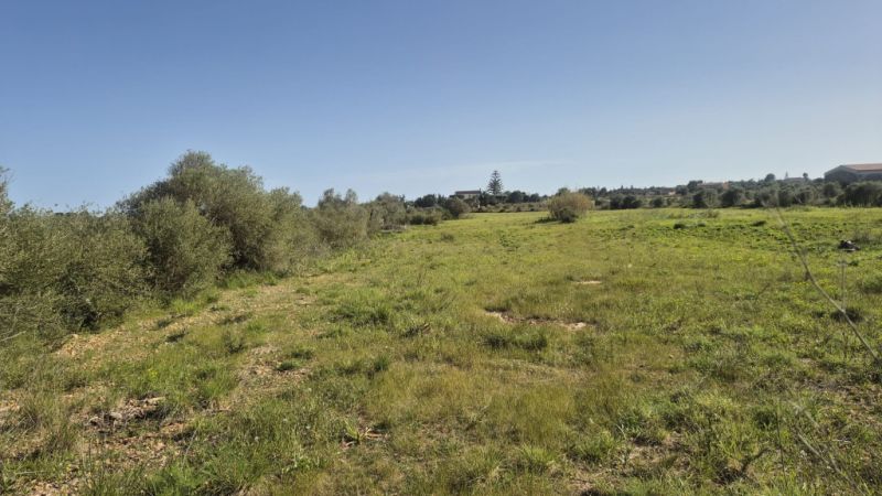 Appartement in erster Meereslinie in Porto Cristo