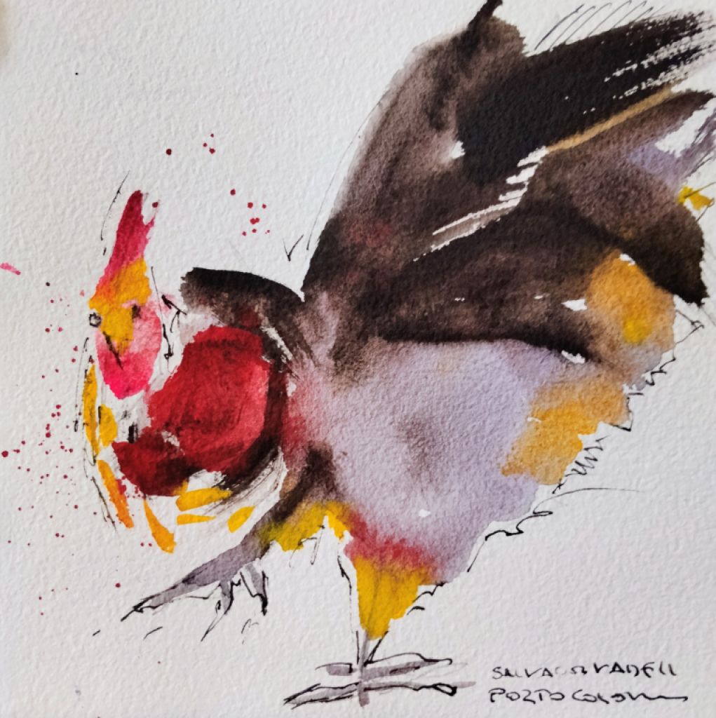 Rooster watercolor on paper