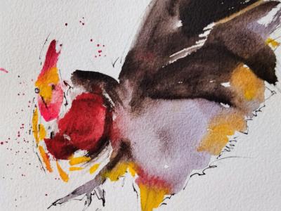 Rooster watercolor on paper