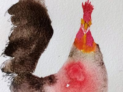 Rooster watercolor on paper
