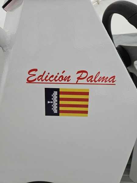 AQUASPIRIT 450 Aluminium Rib - Edición PALMA