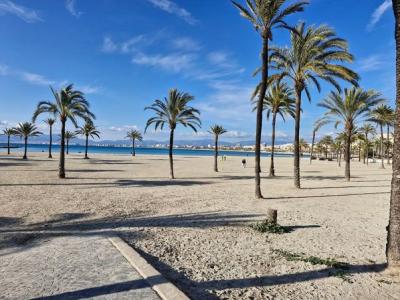 Arenal, large apartment with sea view