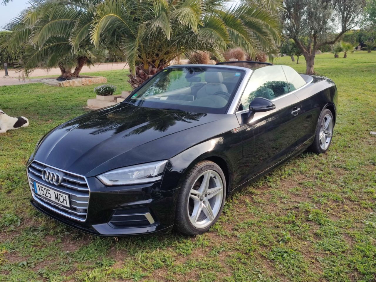 AUDI CAPGIO  A5 S Line 2.0 TDI S tronic Coupe