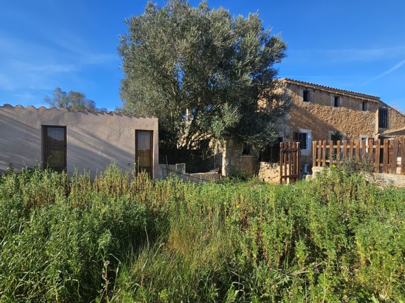 Finca auténtica y cuidadosamente renovada, piscina, calefacción central, eficiente energéticamente, sin aire acondicionado