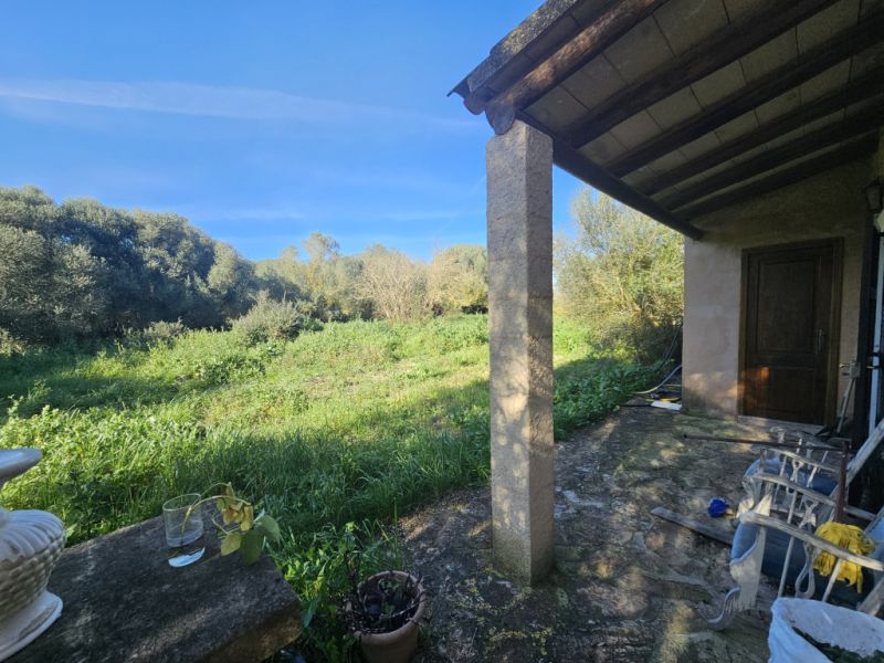 Finca auténtica y cuidadosamente renovada, piscina, calefacción central, eficiente energéticamente, sin aire acondicionado