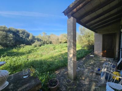 Finca auténtica y cuidadosamente renovada, piscina, calefacción central, eficiente energéticamente, sin aire acondicionado