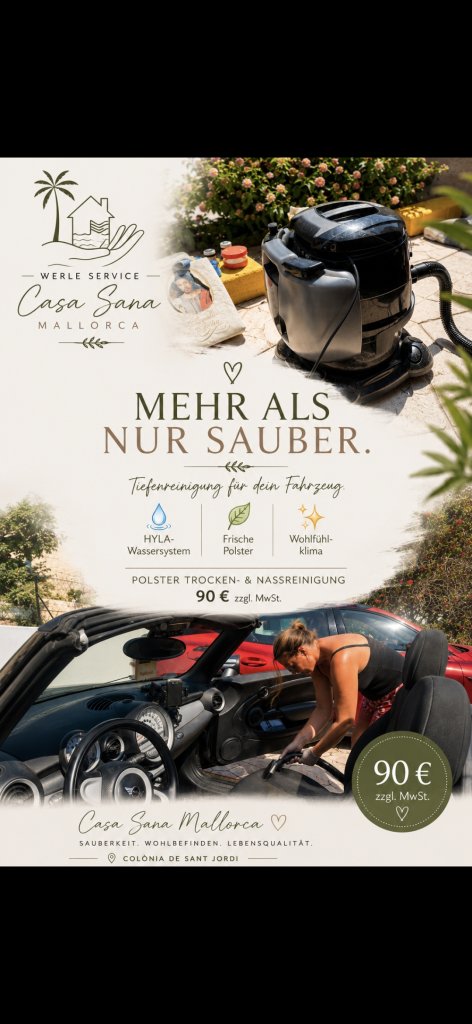 Autoinnenreinigung