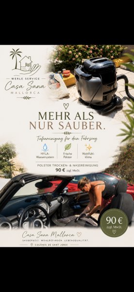 Autoinnenreinigung