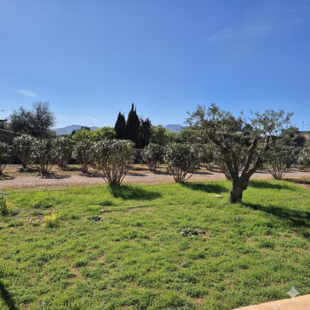 Vanguardia y Naturaleza: Villa de lujo con vistas panorámicas entre Porto Colom y Manacor