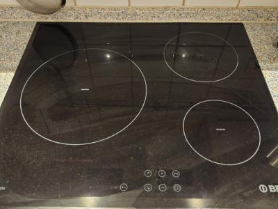 Oven with induction cooktop
