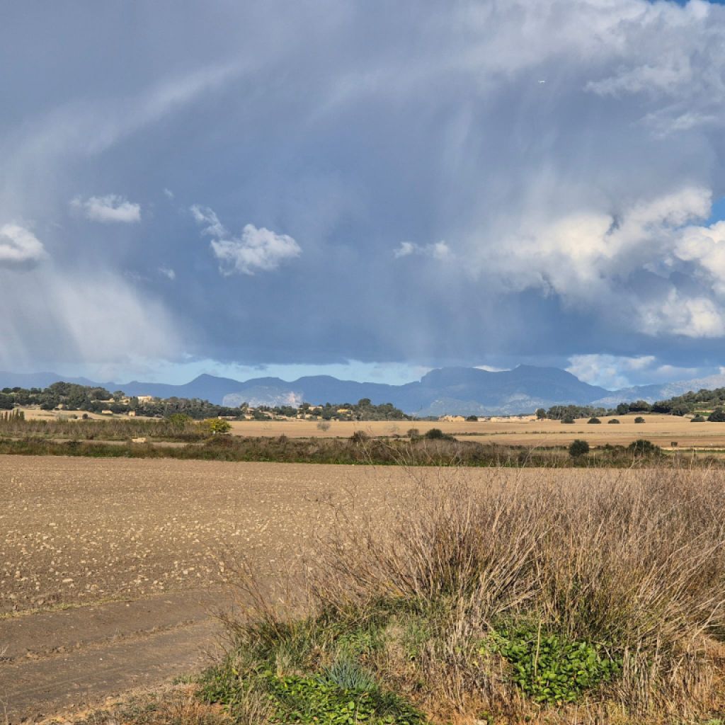 Building plot for sale zona Montuiri