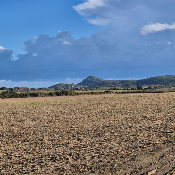 Bau Grundstück zu Verkaufen zona Montuiri