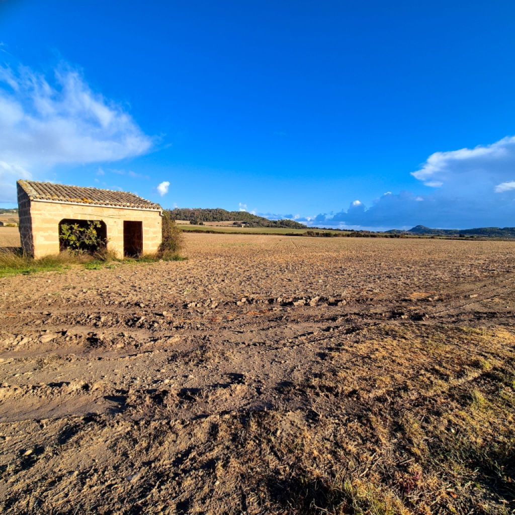 Bau Grundstück zu Verkaufen zona Montuiri