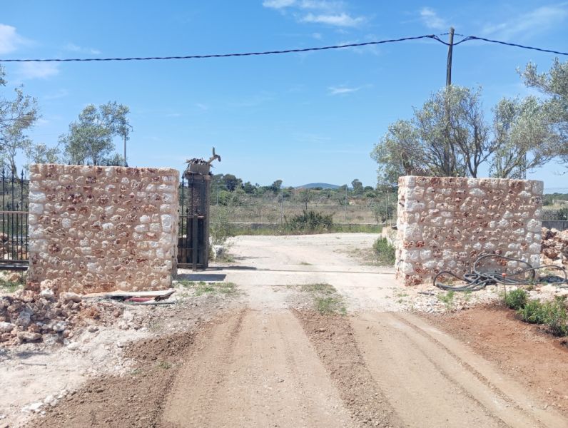 Bau und allgemeine Renovierungen.