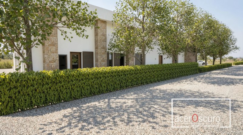 Bauen Mallorca - Nachhaltig - Modular