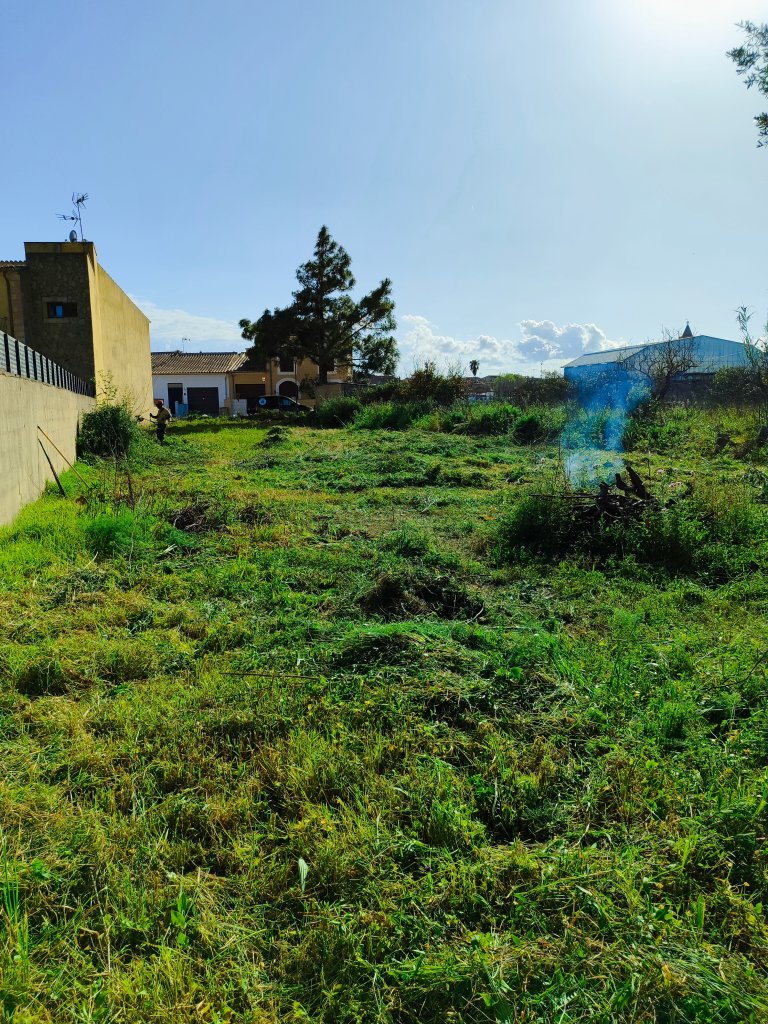 Solar urbano de 617m2 en venta  Son Carrió