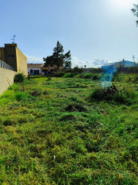Solar urbano de 617m2 en venta  Son Carrió