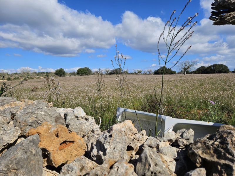 Building plot in Santa Margalida, Mallorca