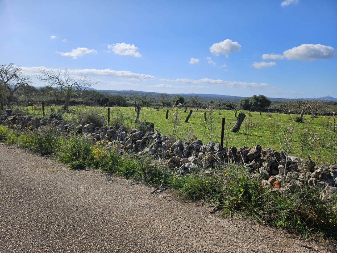 Building plot in Santa Margalida, Mallorca