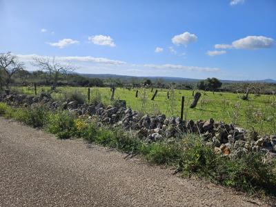 Building plot in Santa Margalida, Mallorca