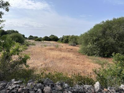 Urban Plot with a license on Mallorca (Santanyi)