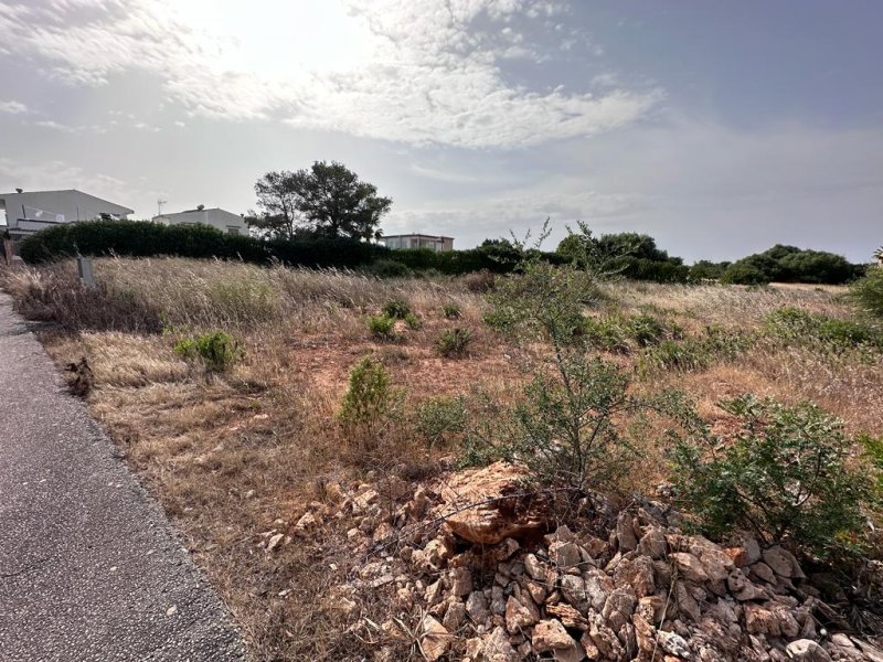 Urban Plot with a license on Mallorca (Santanyi)