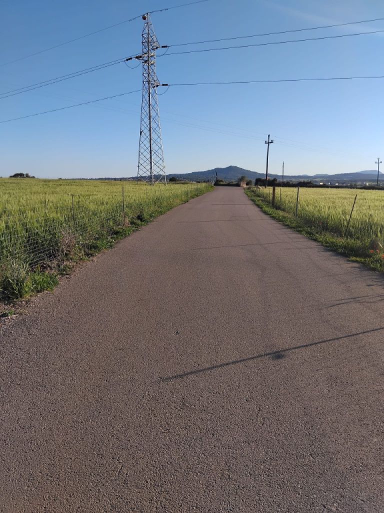 Building plot for sale in Ariany   50.000M2