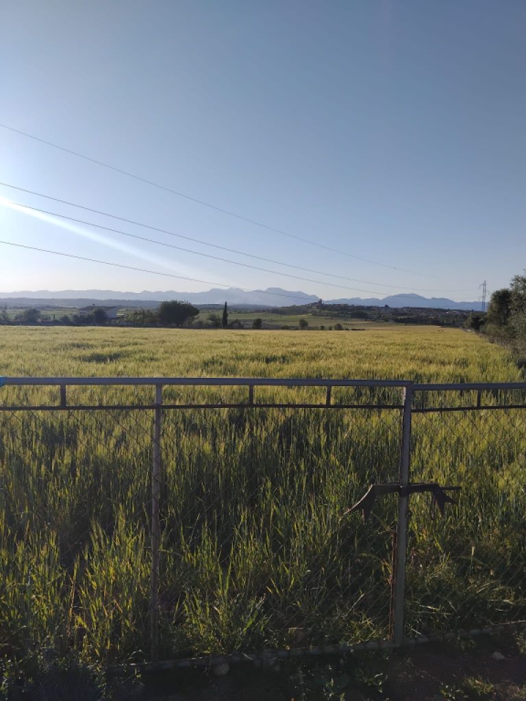 Baugrundstück zu verkaufen in Ariany   50.000M2