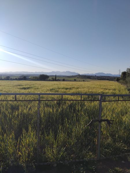 Baugrundstück zu verkaufen in Ariany   50.000M2