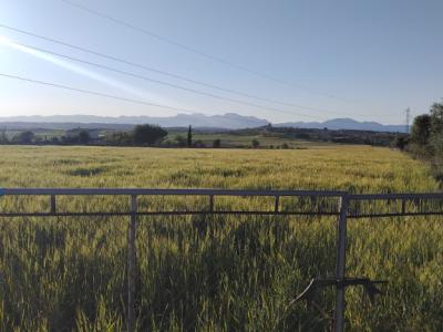 Baugrundstück zu verkaufen in Ariany   50.000M2