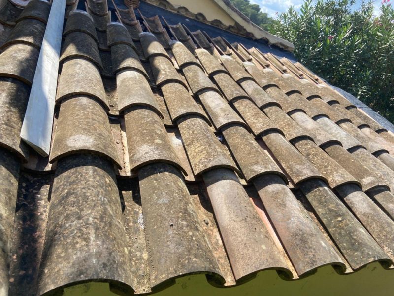 Construction and Home Renovation Professional