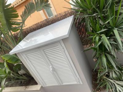 Construction and Home Renovation Professional