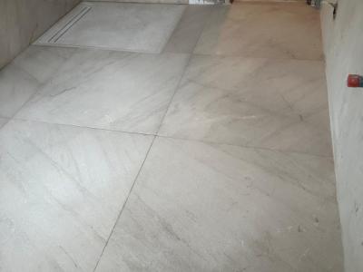 Construction and Home Renovation Professional