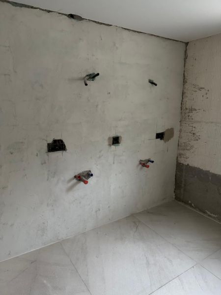 Construction and Home Renovation Professional