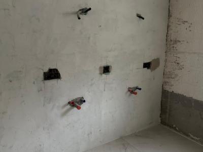 Construction and Home Renovation Professional