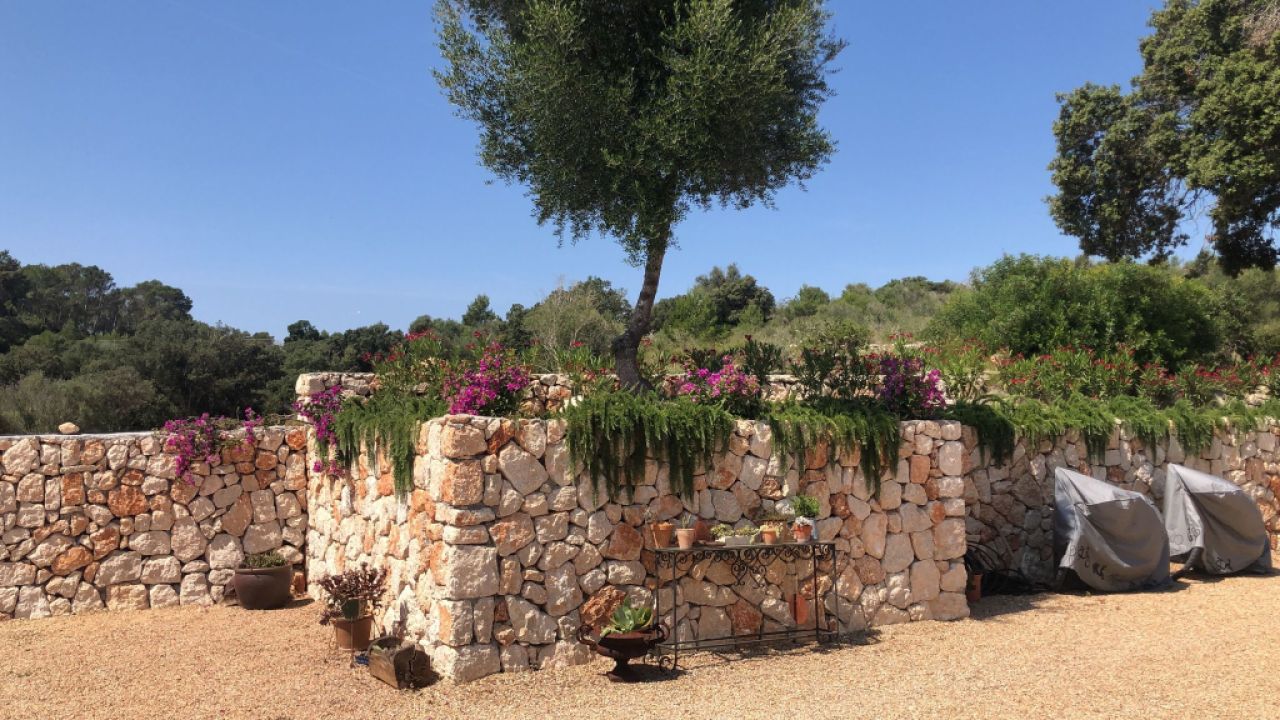 Construction Wood and aluminum carpentry ceilings