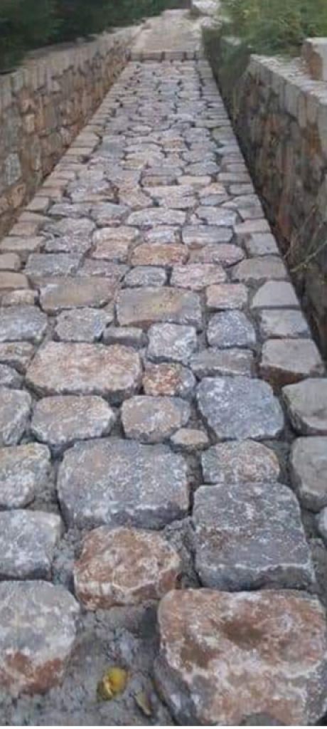 Construction Wood and aluminum carpentry ceilings