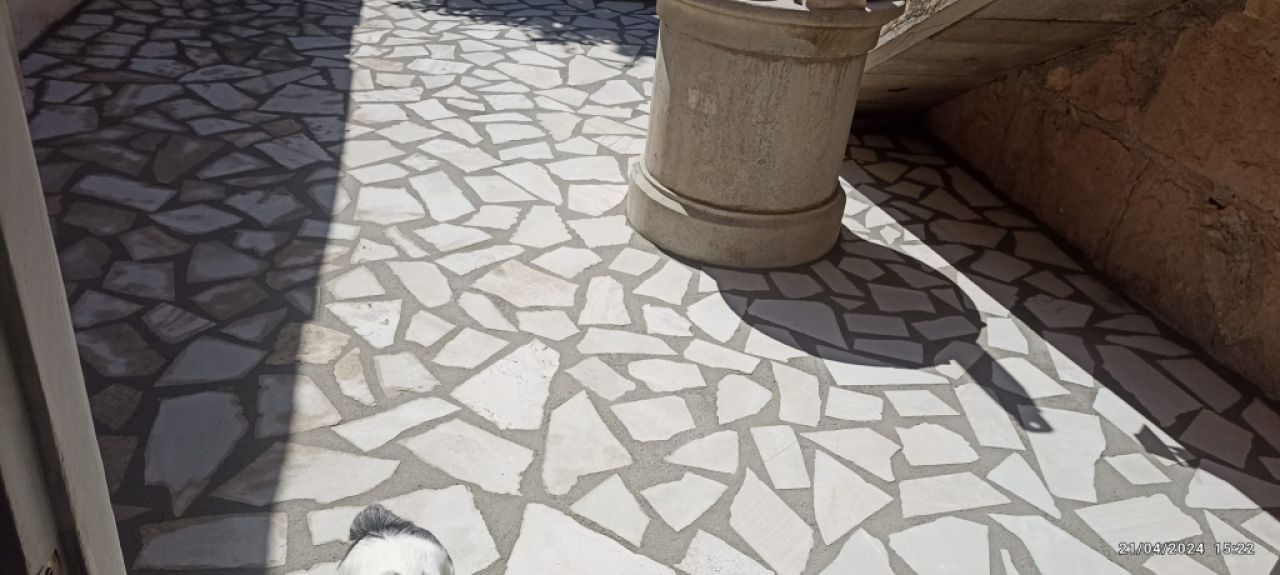 Construction Wood and aluminum carpentry ceilings