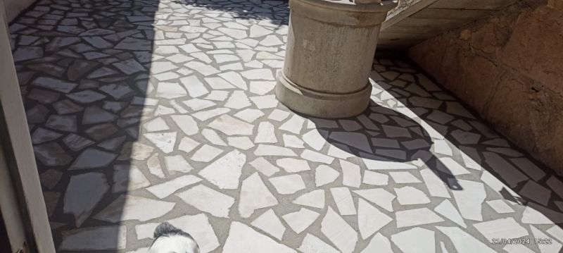 Construction Wood and aluminum carpentry ceilings