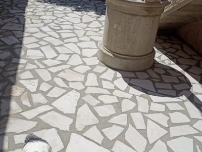 Construction Wood and aluminum carpentry ceilings