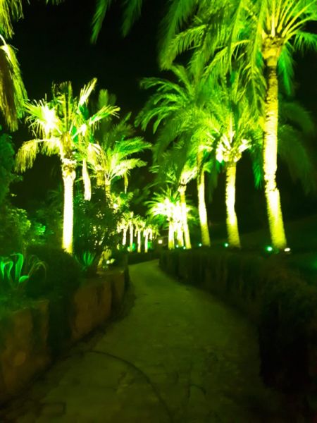 Lighting for house and garden