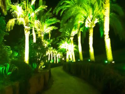 Lighting for house and garden
