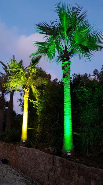 Lighting for house and garden